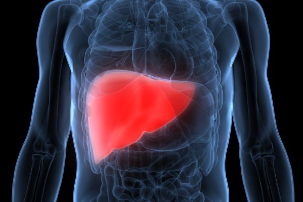 Liver Multi-Parametric Scan