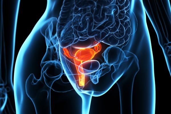 Ectopic Pregnancy Scan