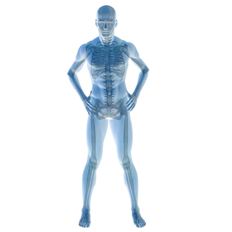 Private Full Body Ultrasound Scan