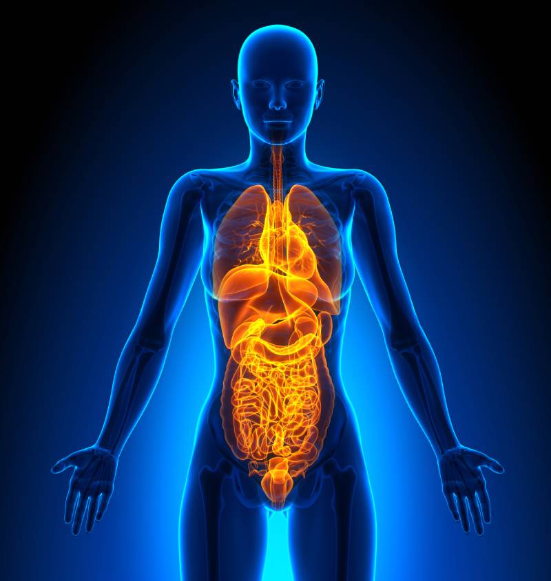 Couples Full Body Ultrasound Scan