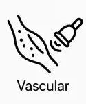 Vascular